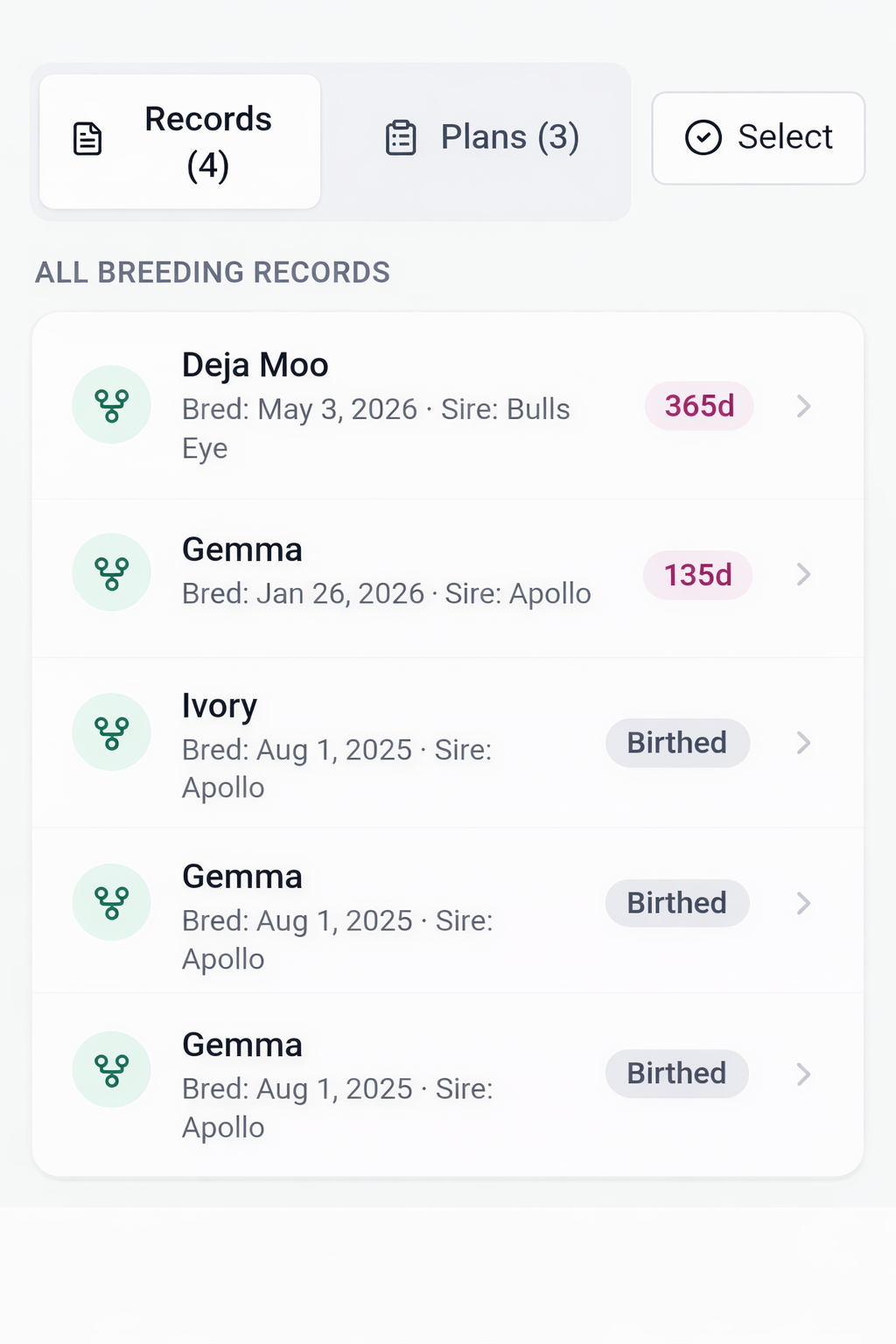 Livestock pregnancy tracking timeline and recheck reminders in Livestock Pulse