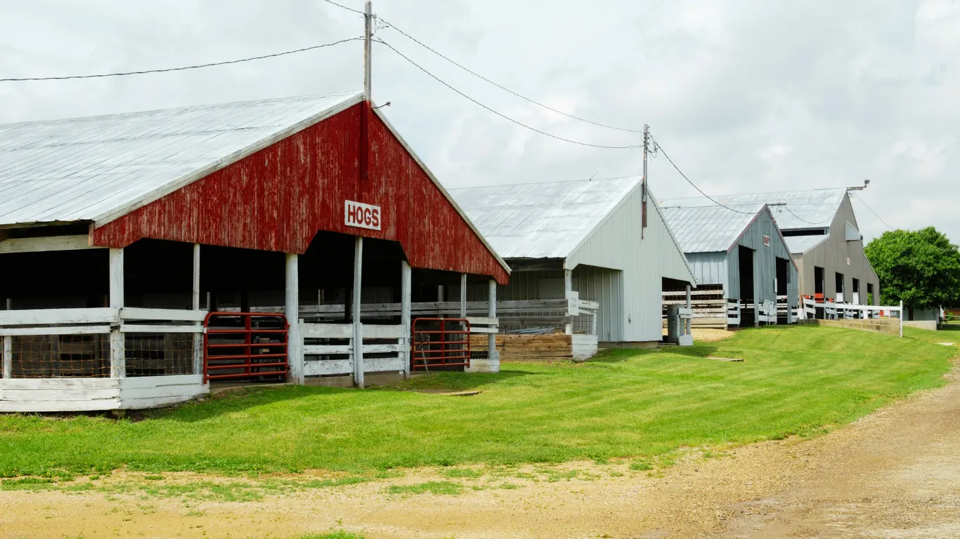 4-H & FFA Exhibitors